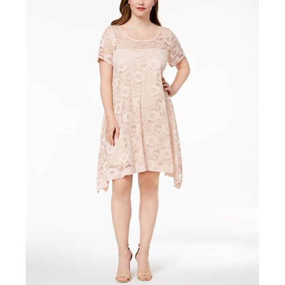 Robbie Bee Plus Size Lace A Line Dress - Picture 1 of 4